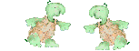Vodne-korytnacky